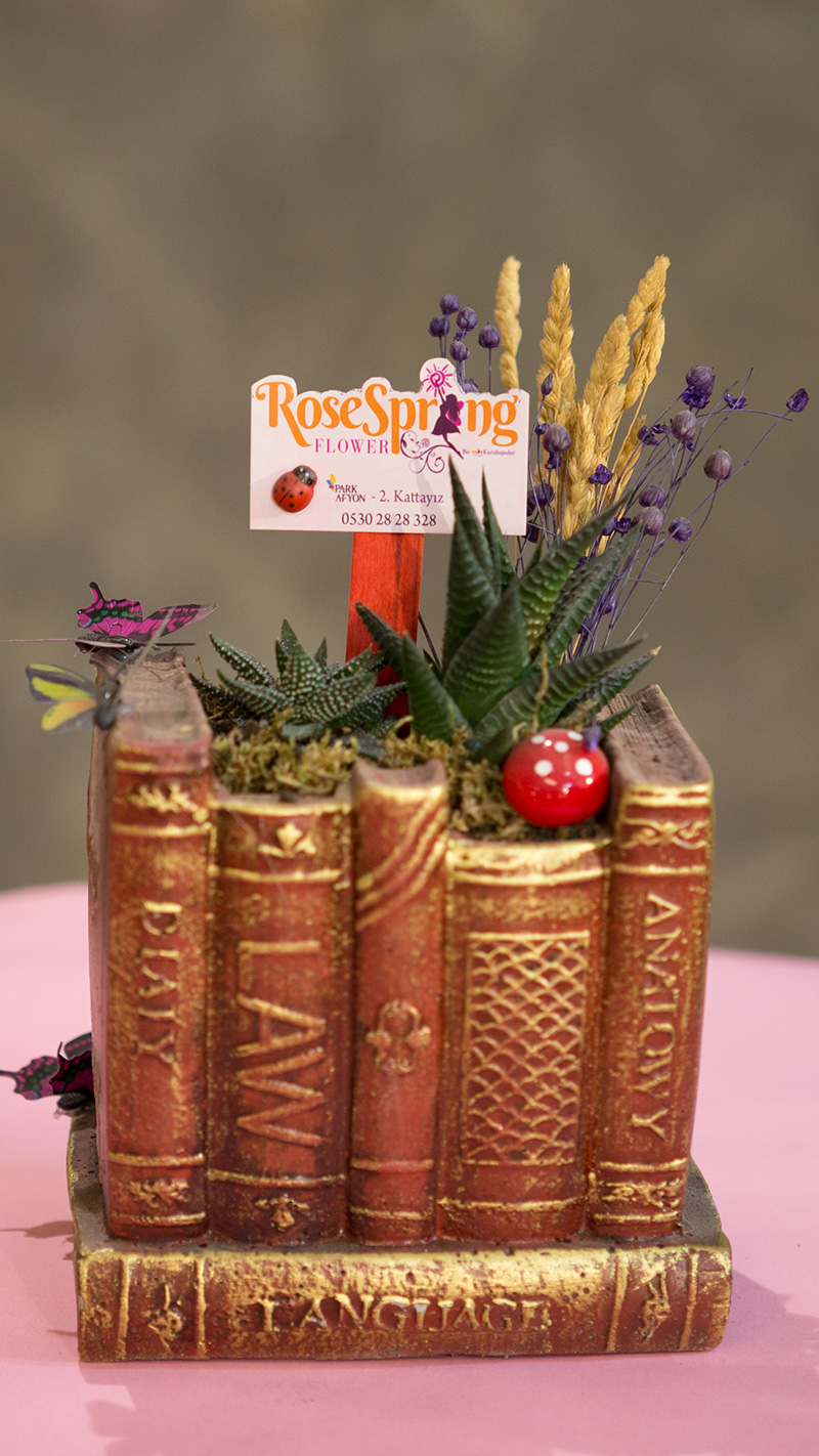 Afyon Çiçekçi Rose Spring Flower