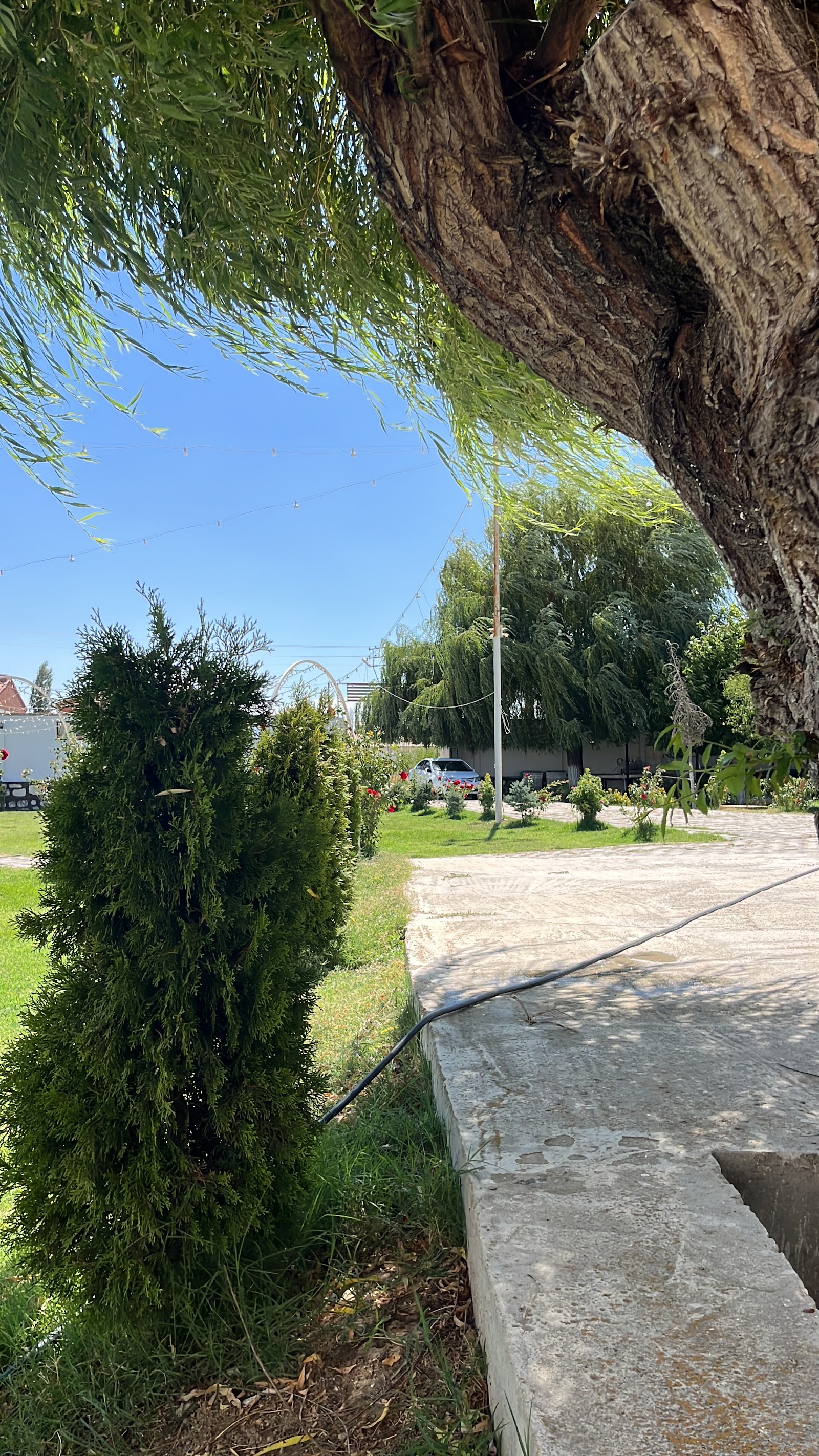Afyon Leylak Düğün Salonu - Afyon Düğün Salonu — Sinanpaşa, Afyonkarahisar kır düğünü mekanı görsel 4