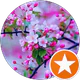 S. T. profil fotoğrafı
