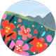 Hacer Karacinar profil fotoğrafı