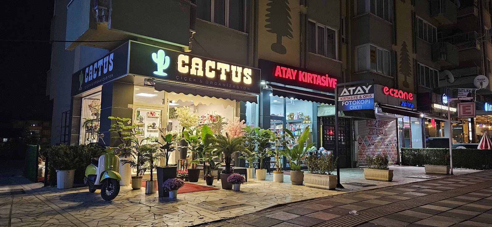 Cactus Çiçek & Organizasyon kır düğünü mekanı — Merkez