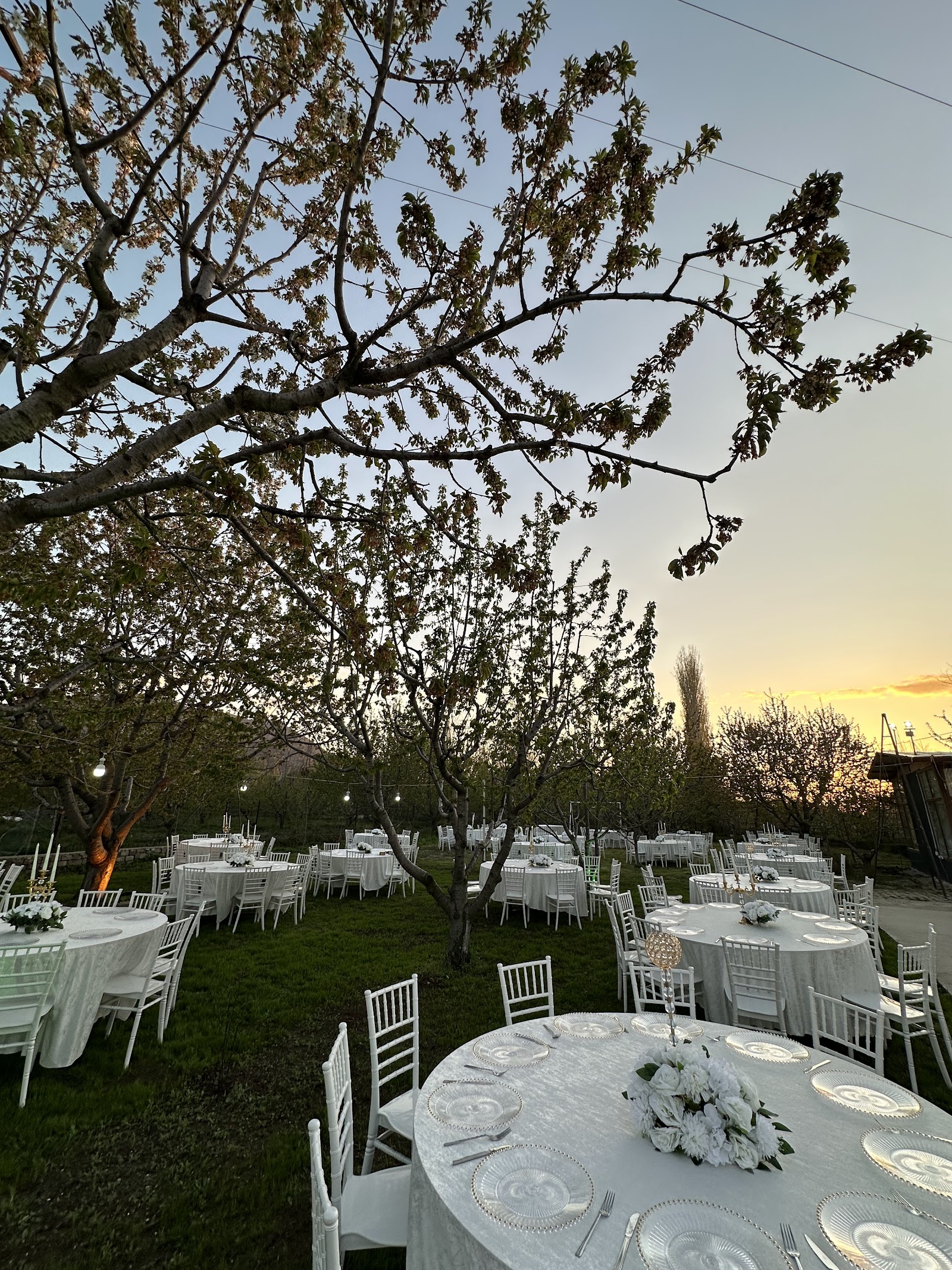 Güneş Kır Bahçesi Wedding & Event Venue — Çay, Afyonkarahisar kır düğünü mekanı görsel 5